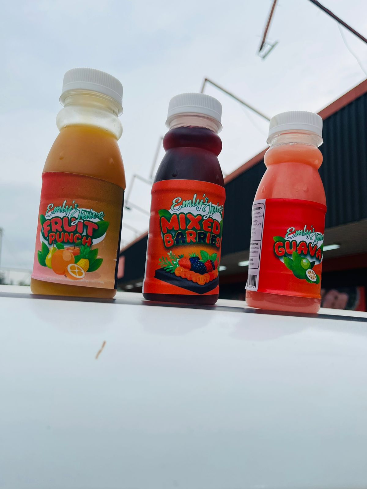 WhatsApp Image 2026-02-17 at 00.52.48 WhatsApp Image 2026-02-17 at 00.52.48