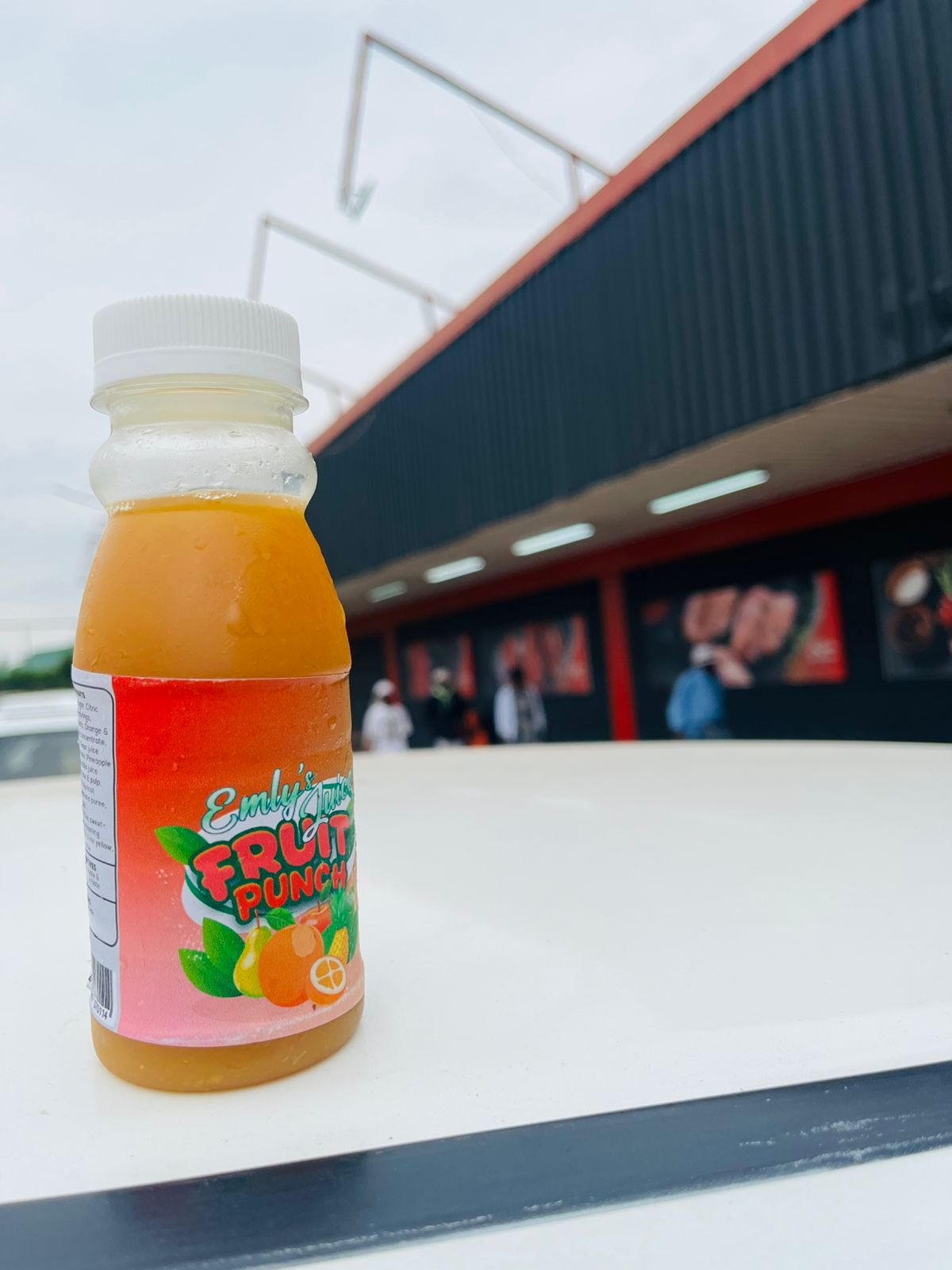 WhatsApp Image 2026-02-17 at 00.52.51 (1) WhatsApp Image 2026-02-17 at 00.52.51 (1)