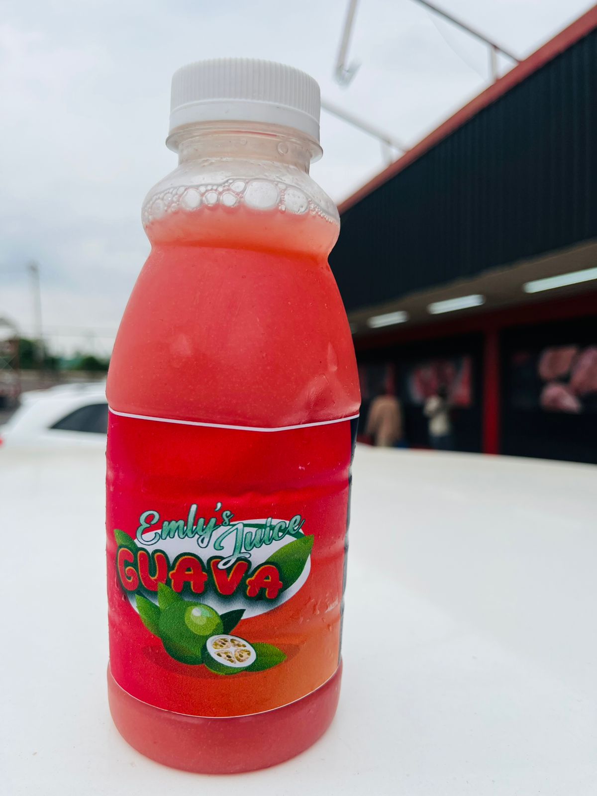 WhatsApp Image 2026-02-17 at 00.52.51 (2) WhatsApp Image 2026-02-17 at 00.52.51 (2)