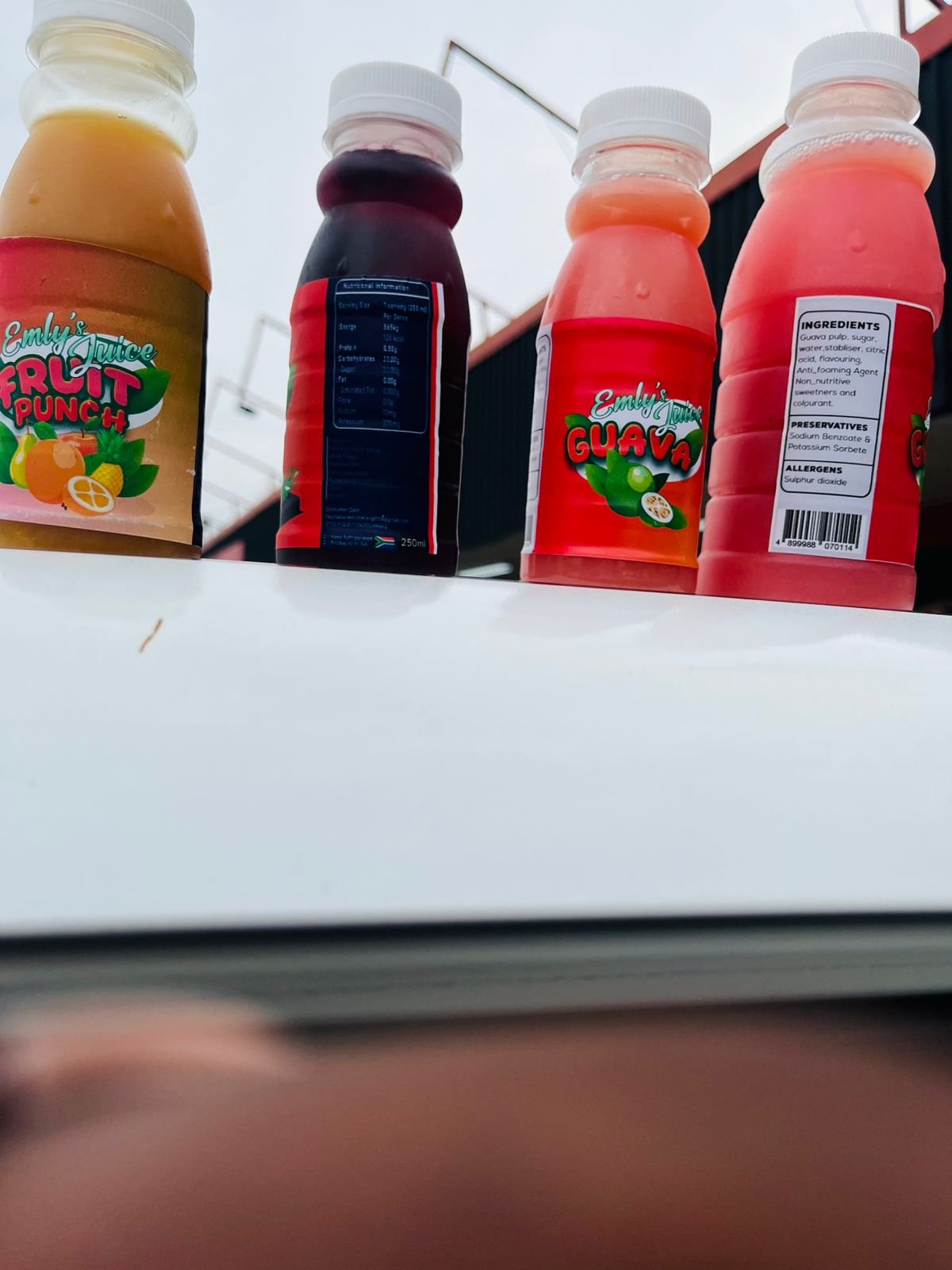 WhatsApp Image 2026-02-17 at 00.52.52 (1) WhatsApp Image 2026-02-17 at 00.52.52 (1)