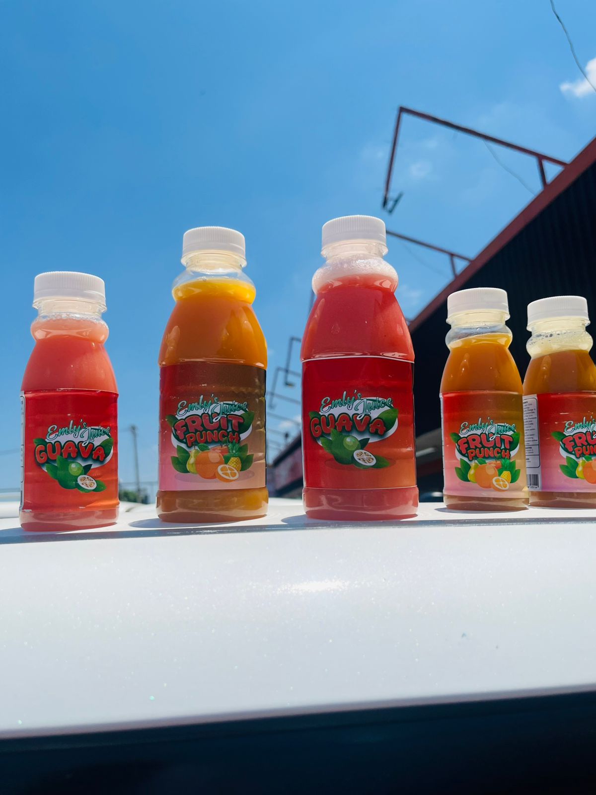 WhatsApp Image 2026-02-17 at 00.52.53 (2) WhatsApp Image 2026-02-17 at 00.52.53 (2)