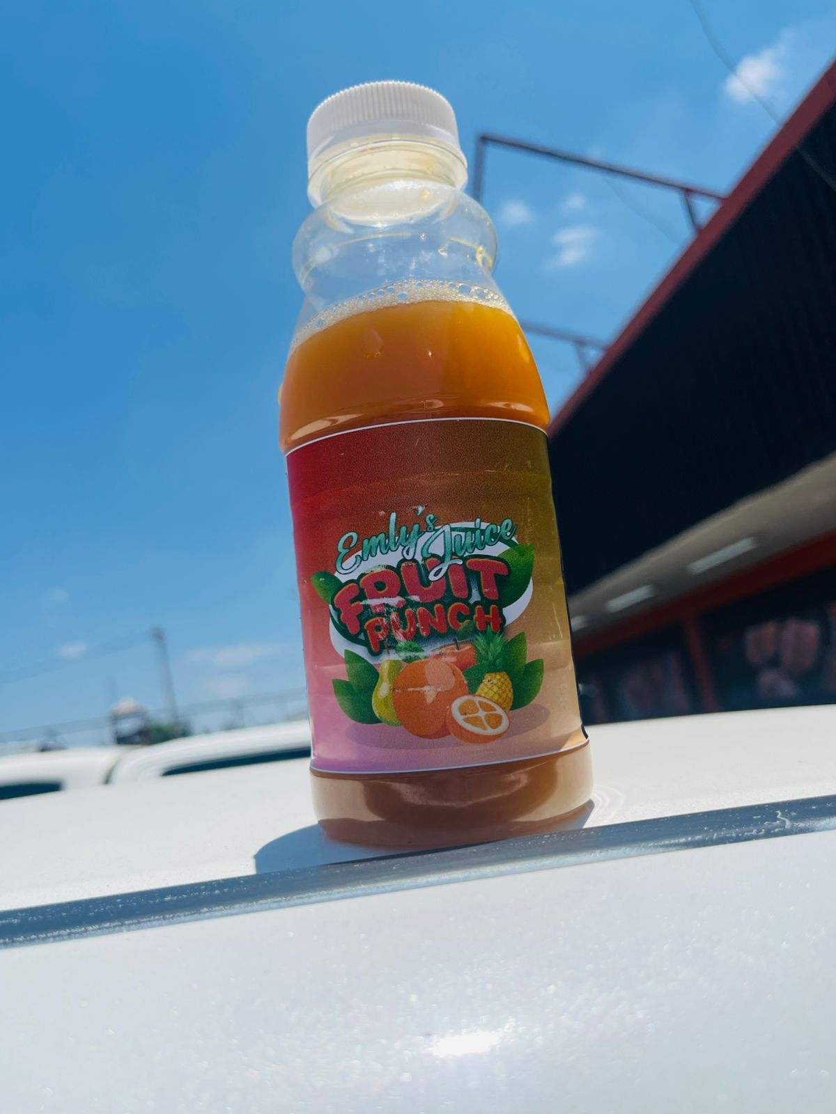 WhatsApp Image 2026-02-17 at 00.52.54 WhatsApp Image 2026-02-17 at 00.52.54